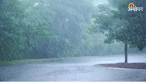 Rain Forecast : बहुतांशी जिल्ह्यांत पावसाची शक्यता