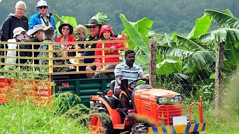 Agro Tourism