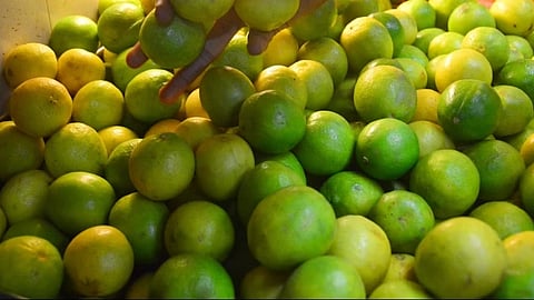 Lemon Market