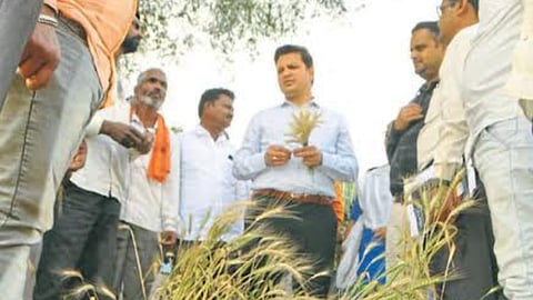 Crop Damage Survey