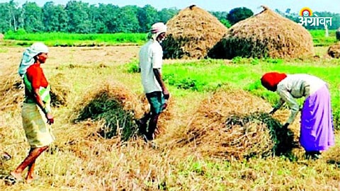 Agricultural
