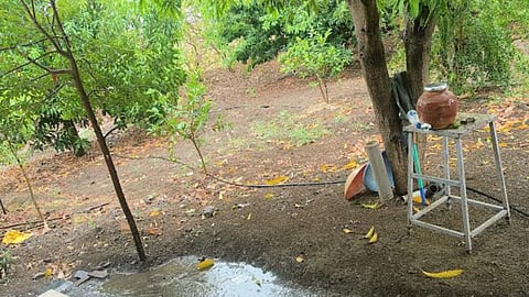 Indian Agriculture