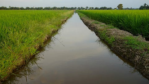 Agriculture Irrigation