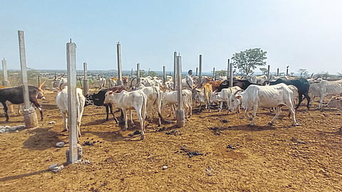 Gopalan