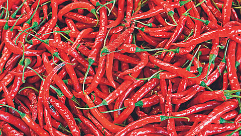 Sillod Chili