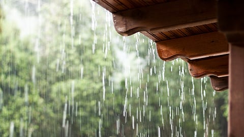 Rain Forecast