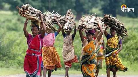 Tribal Area