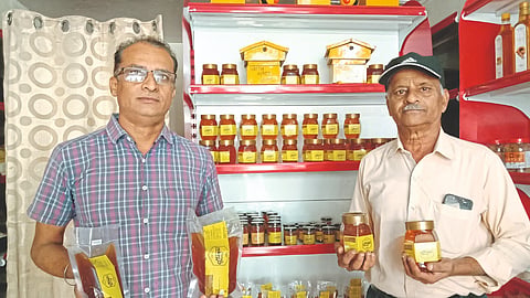 Beekeeping Business Success Story