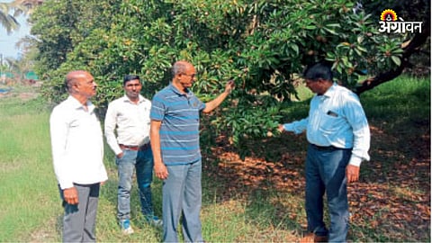 Crop Damage