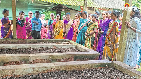 Vermicomposting Project
