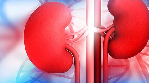 Kidney Disease