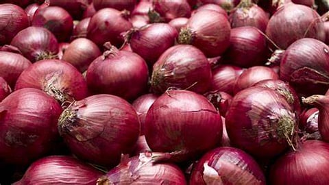 onion market