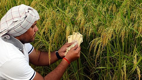 Rural Economy