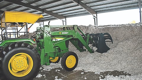 Cotton Processing Business