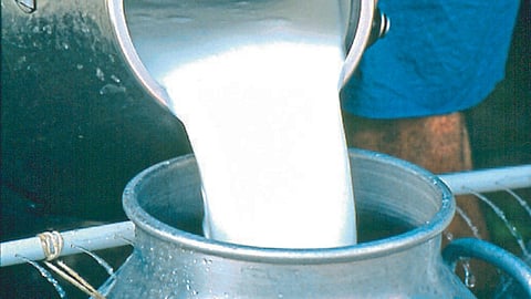 Dairy Industry