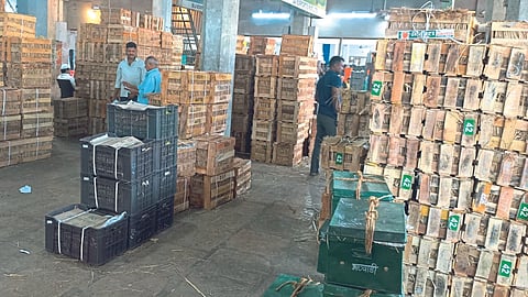 Mango Market