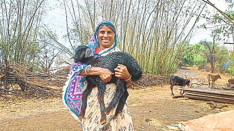 Womans In Agriculture
