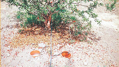 Evaporation