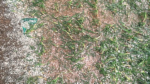 Hailstorm
