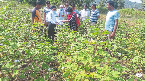 Farmers Producers Company