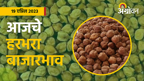 Chana market