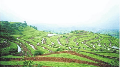Flood, Drought Management