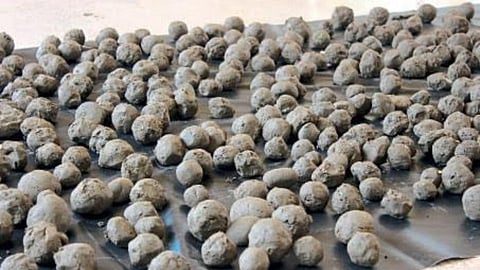 Seed Ball