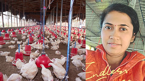Poultry Business