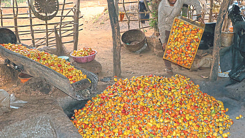 Cashew Market