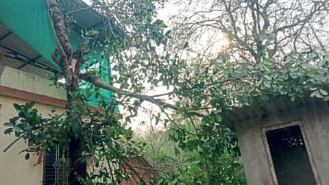Rain Update Ratnagiri