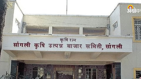 Sangli APMC