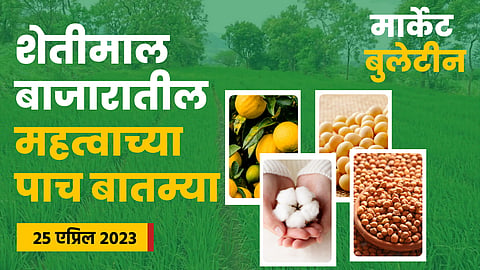 Chana Rate