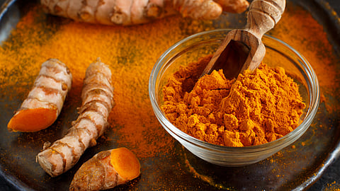 Turmeric Processing