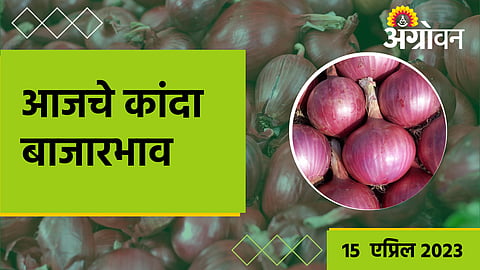 Onion Rate