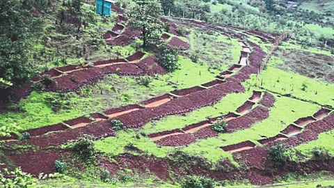 Water Conservation Planning
