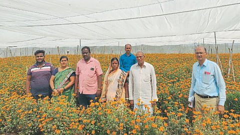 Indian Agriculture