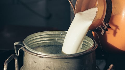 Milk Insurance