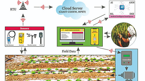 Irrigation Management
