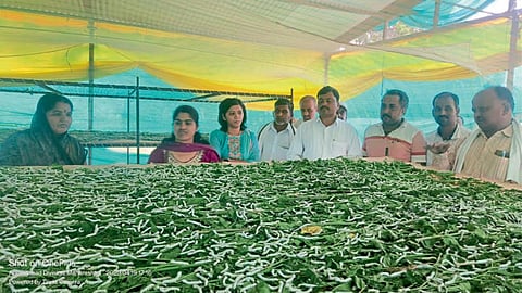 Modern Agriculture