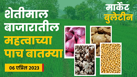 Soybean Rate