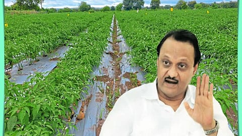 Ajit Pawar