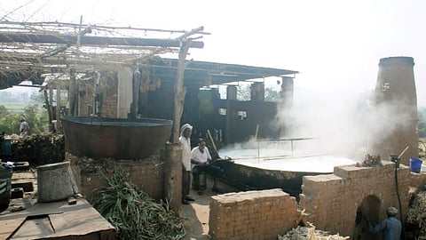 Jaggery Producion