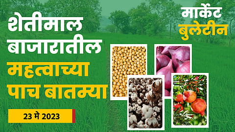 Soybean Market