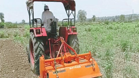 Onion Damage