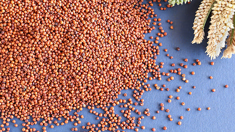Millet Year