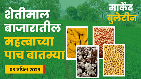 Chana Rate
