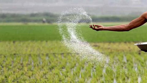 fertilizer