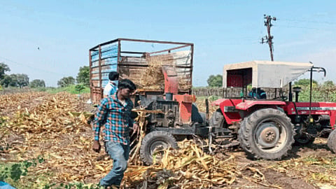 Kharif Season