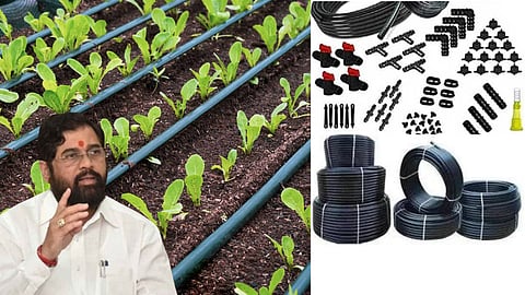 Drip Irrigation Scheme Maharashtra