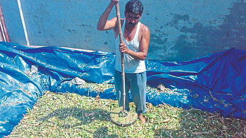 Silage Making
